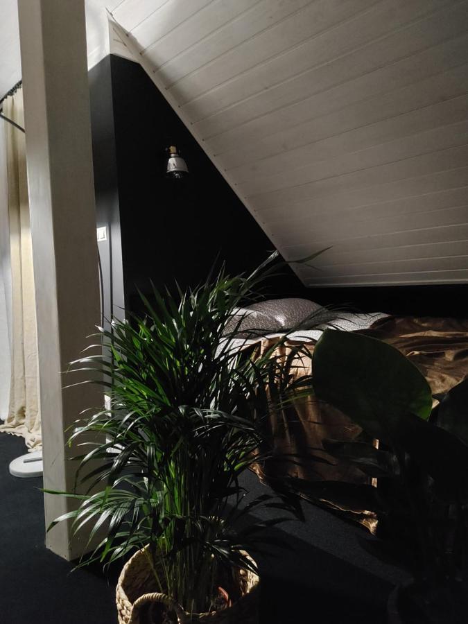 Apartament Lipowa 3 姆拉哥沃 外观 照片